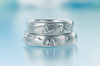 �����w�� ����