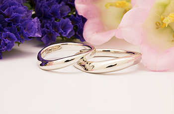 �����w�� ����