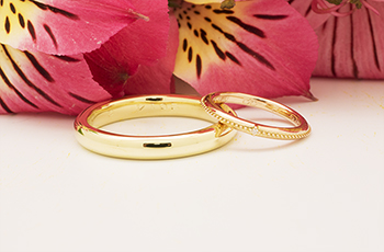 �����w��