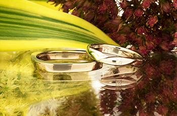 ���茋���w��