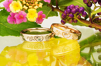 ����̌����w��