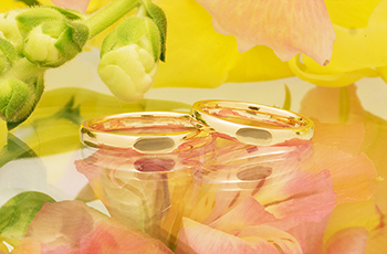 ���茋���w��