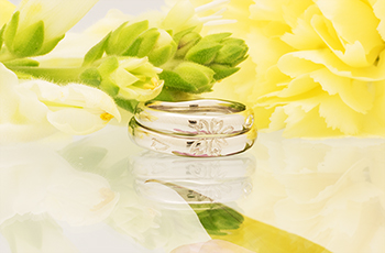 �����w��