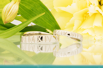 �w�� ����