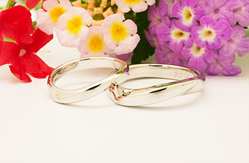 ���� �w��