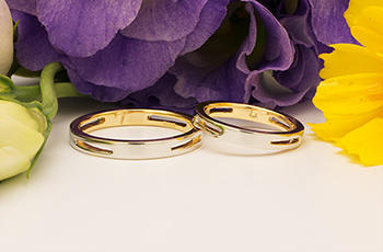 �����w�� ����