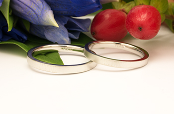 ����̌����w��