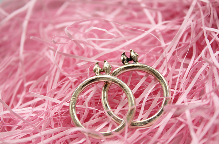 �y���M�����`�[�t �����w��