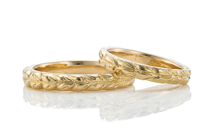 ����n���C�A���W���G���[